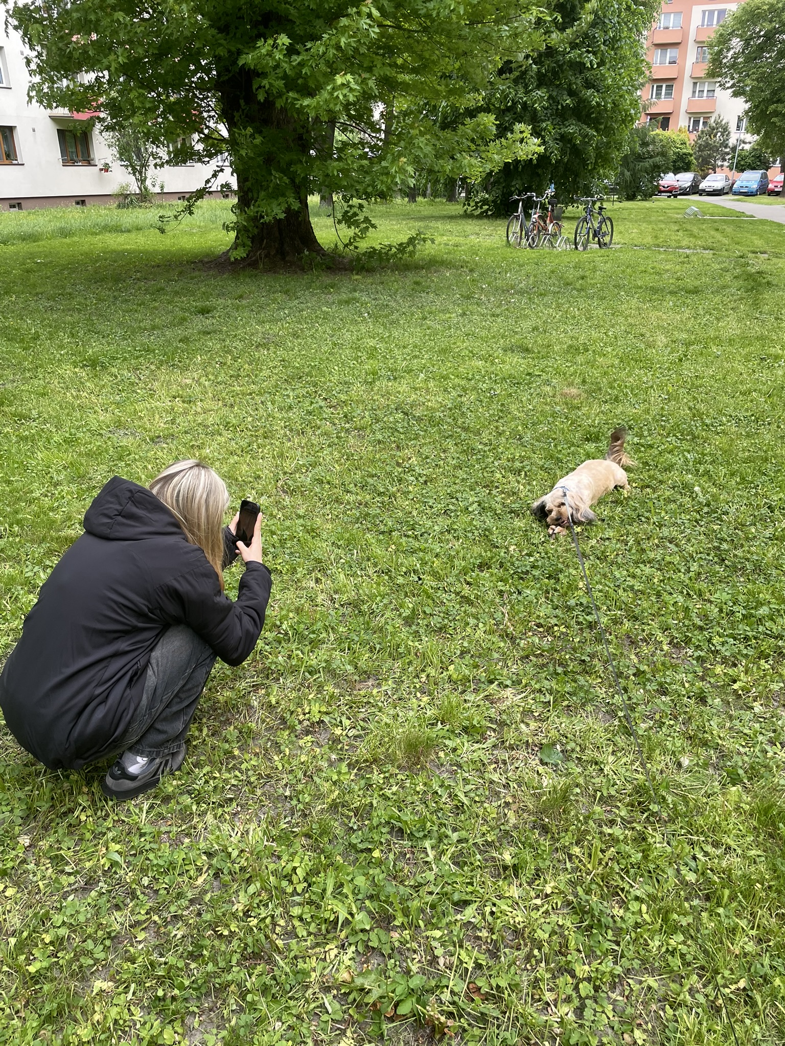 Bukiet białych i różowych róż leżący na stole obok listu miłosnego, delikatne oświetlenie świec